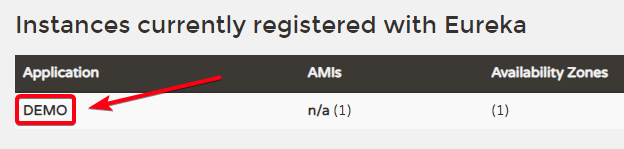 Spring.application.name.png